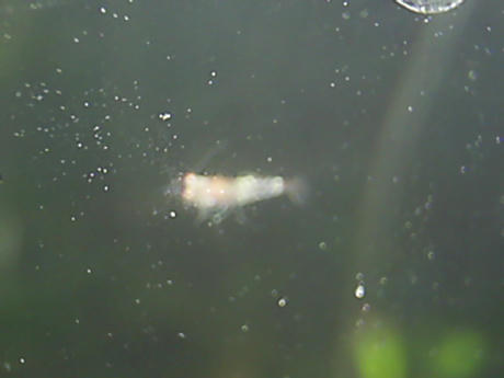 5e82685d.jpg