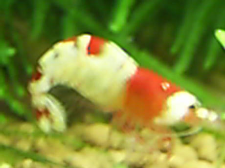 44c5838b.jpg