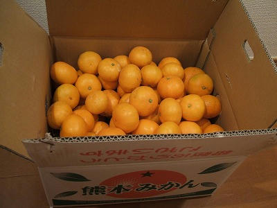 DSCF0653.jpg