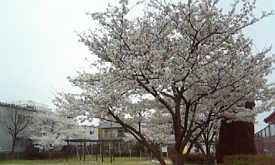 DVC00361.jpg