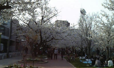 DVC00006.jpg