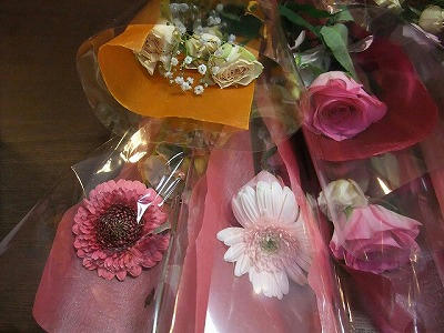 DSCF2687.jpg