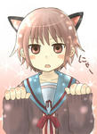 ながとにゃんこ