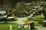 miyama2.jpg