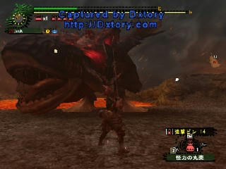 021806c4.jpeg