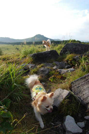 070827_kuru_a6.jpg