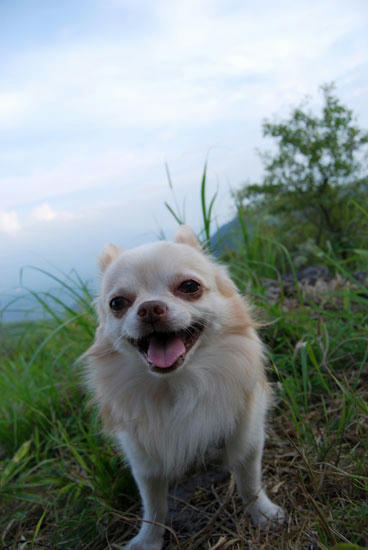 070826_miha5.jpg