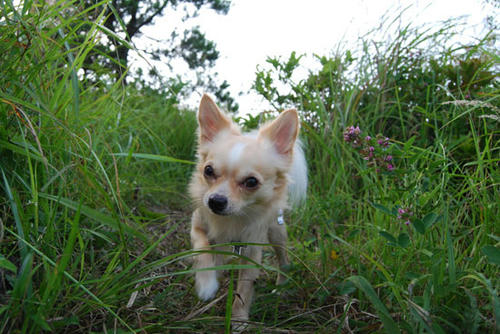 070826_miha10.jpg