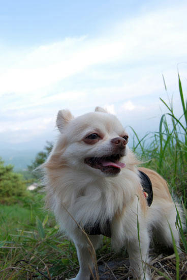 070826_miha6.jpg