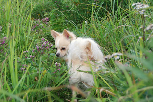 070824_kuru1.jpg