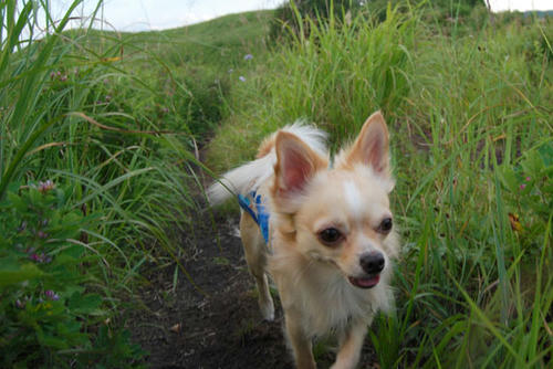 070824_kuru2.jpg