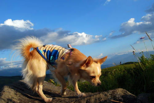070824_kuru5.jpg