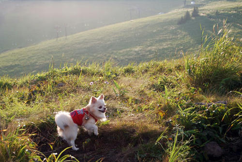 070824_kuru6.jpg