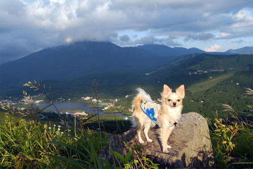 070824_kuru7.jpg
