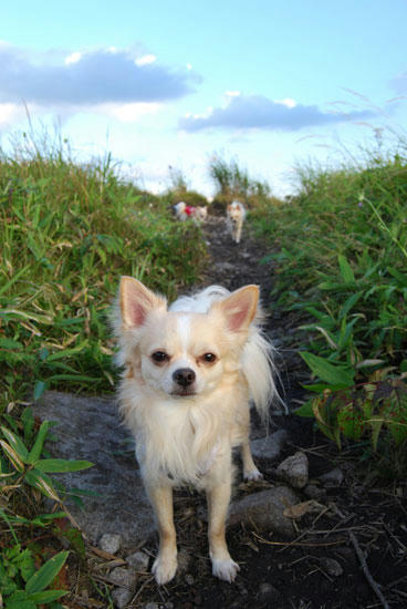 070824_kuru11.jpg