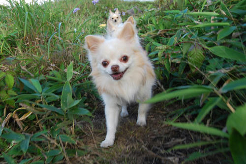 070824_kuru12.jpg