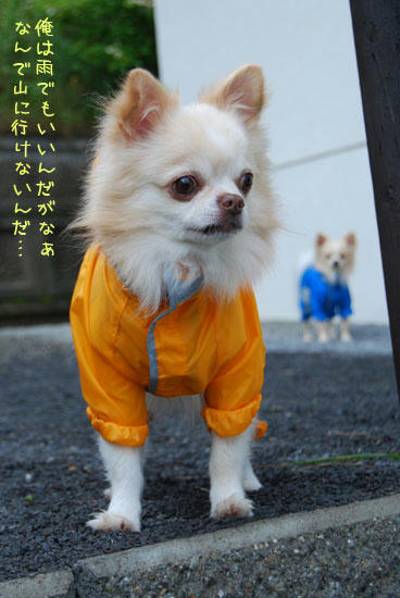 070822_ura7.jpg