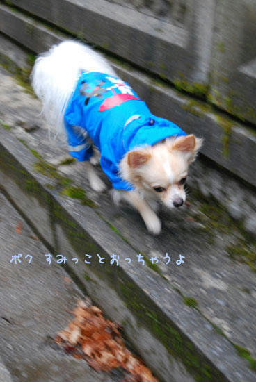 070822_ura11.jpg
