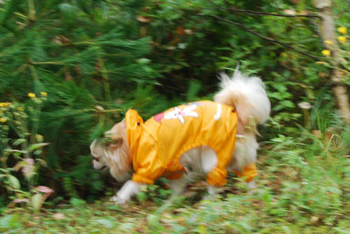 070828_ura2.jpg