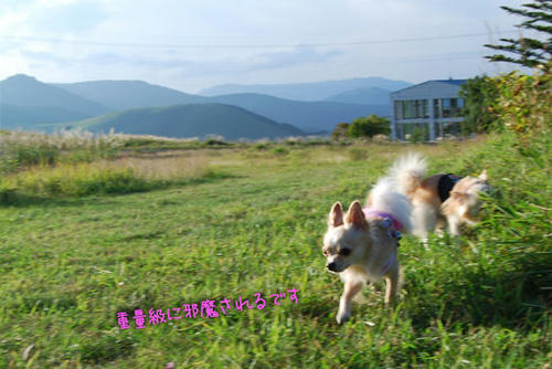 070903_royh5.jpg