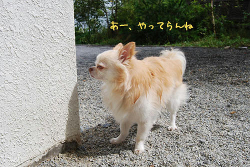 070905_ura5.jpg