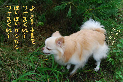 070906_ura3.jpg