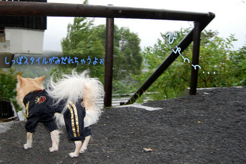 070906_ura5.jpg