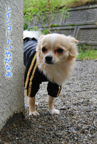 070906_ura6.jpg