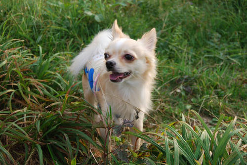 070908_royh2.jpg