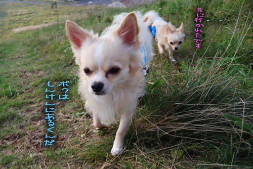 070908_royh3.jpg