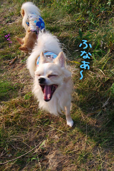070908_royh4.jpg