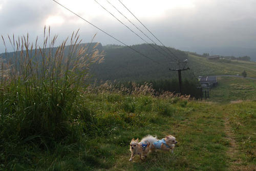 070908_royh8.jpg