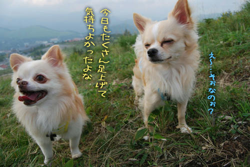 070908_royh14.jpg