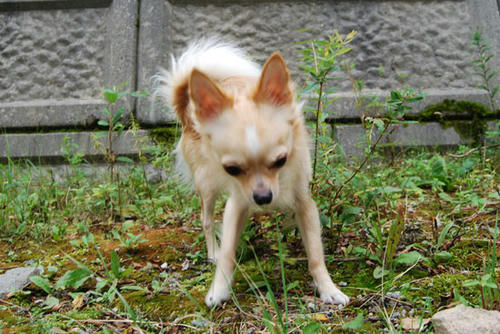 070910_ura2.jpg