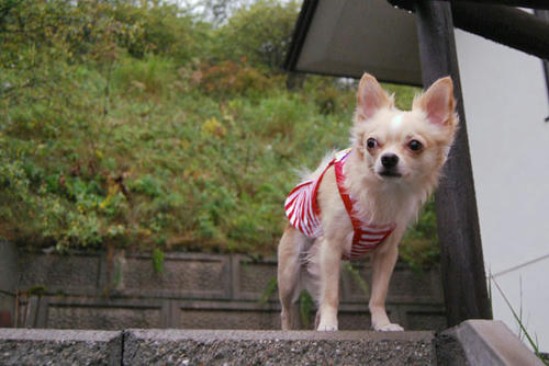 070910_ura10.jpg