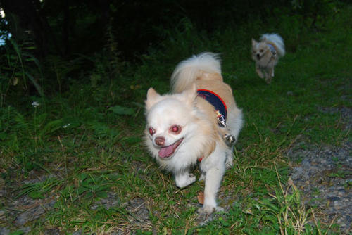 070920_kei7.jpg