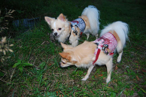 070920_kei9.jpg