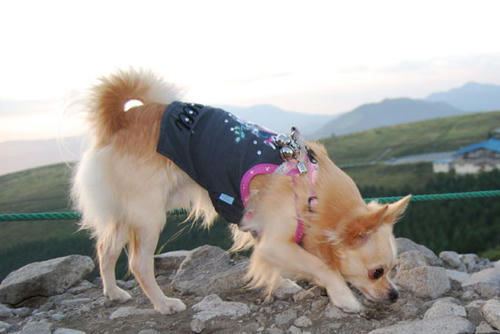 070921_kiri9.jpg