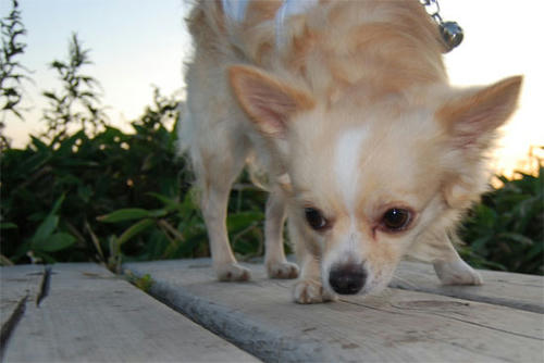 070921_kiri11.jpg