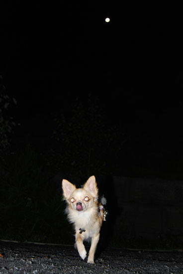 070925_ura10.jpg