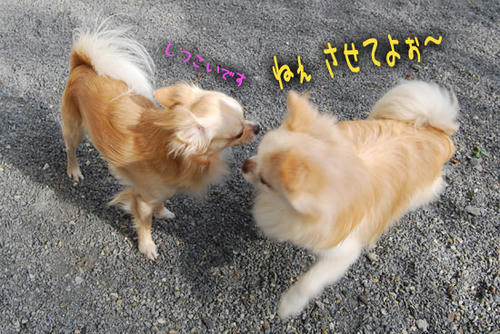 070928_ura6.jpg