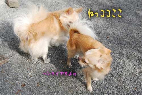 070928_ura7.jpg