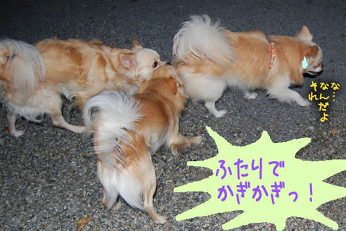 070928_ura9.jpg