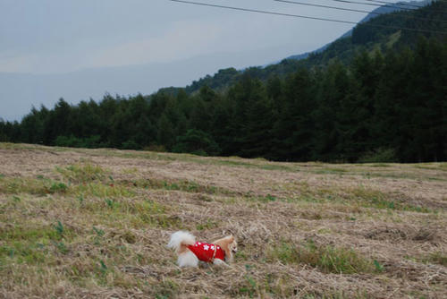 071004_roy34.jpg