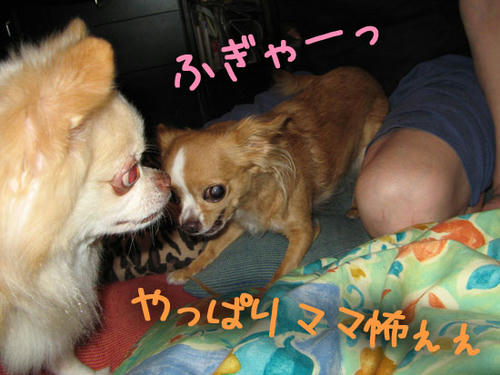 071009_tko3.jpg