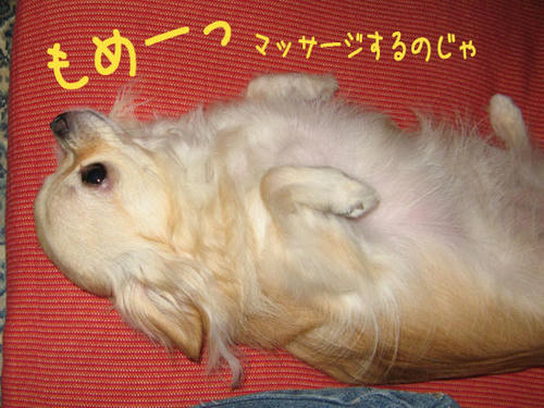 071009_tko7.jpg
