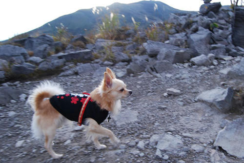 071015_kuru9.jpg