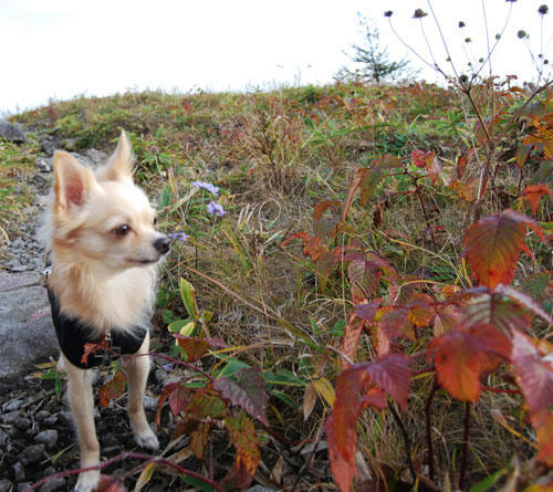 071015_kuru13.jpg