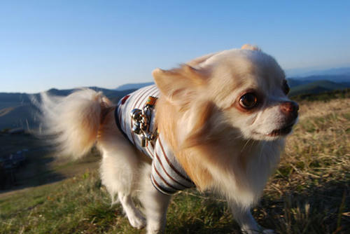 071021_roy10.jpg