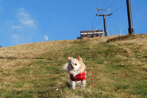 071022_roy8.jpg
